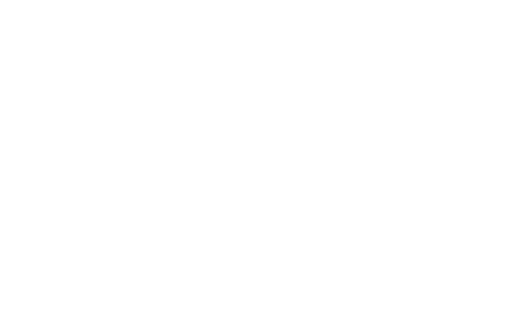 The Amelia Scott Logo